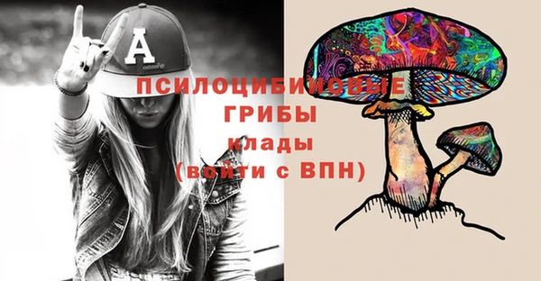 прущий лед Верея