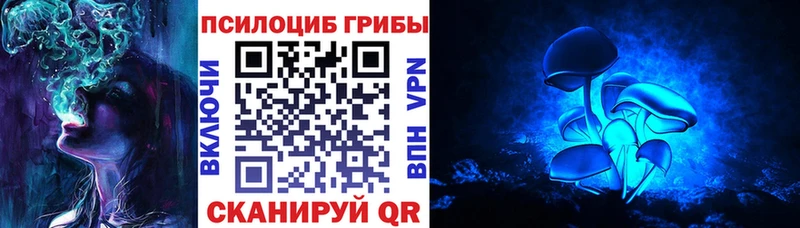 Псилоцибиновые грибы Psilocybine cubensis  Кизел 